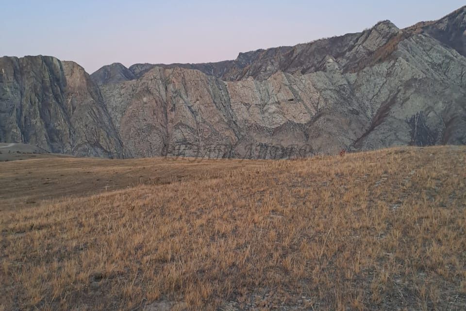 земля р-н Онгудайский с Инегень ул Центральная 15 фото 3