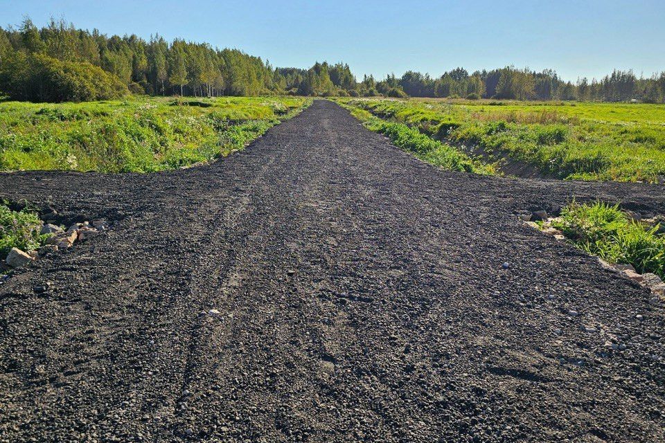 земля р-н Новгородский Сперанская Мыза фото 1