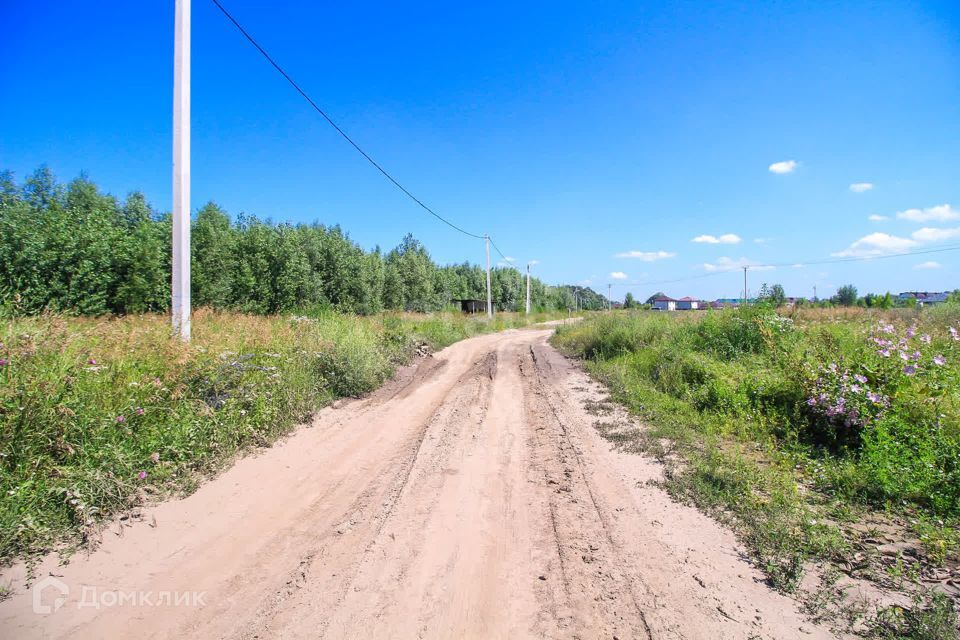 земля р-н Первомайский с. Фирсово фото 3