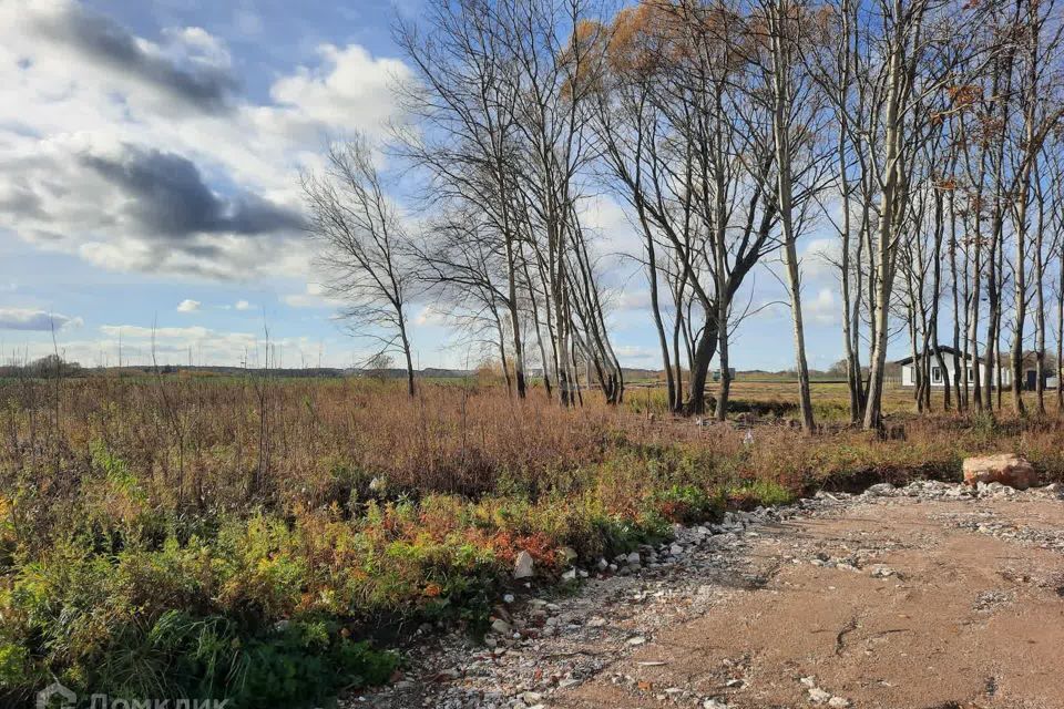 земля р-н Гурьевский Гурьевск фото 2