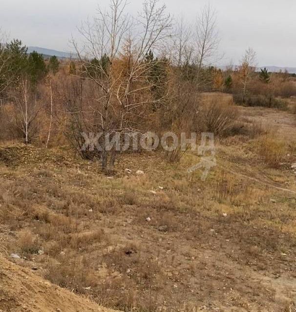 земля р-н Читинский пос. Лесной Городок фото 2