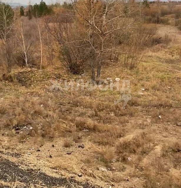 земля р-н Читинский пос. Лесной Городок фото 3