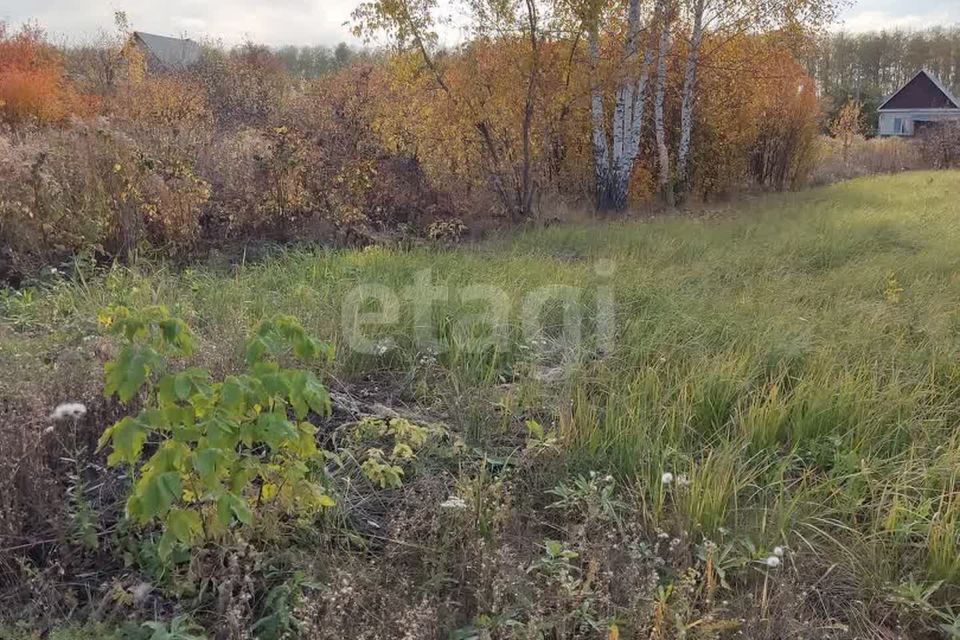 земля г Пенза городской округ Пенза, СТ Зелёная поляна фото 2