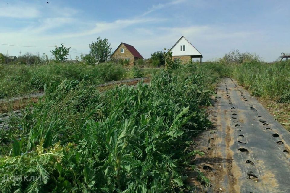 земля р-н Сакский Грушевая улица фото 1