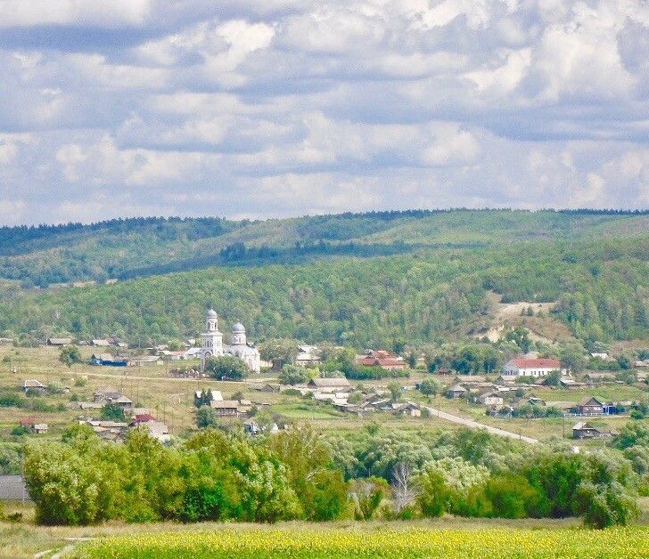 дом р-н Павловский с Илюшкино ул Центральная 52 фото 2