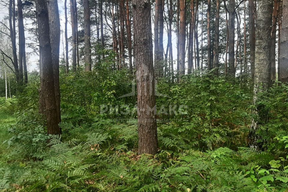 земля г Брянск р-н Фокинский ул Западная Брянск городской округ фото 4