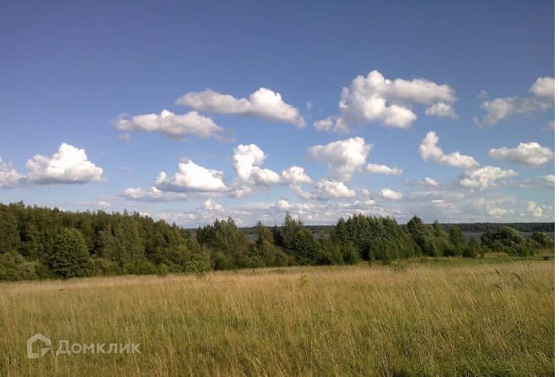 земля р-н Красногородский фото 9