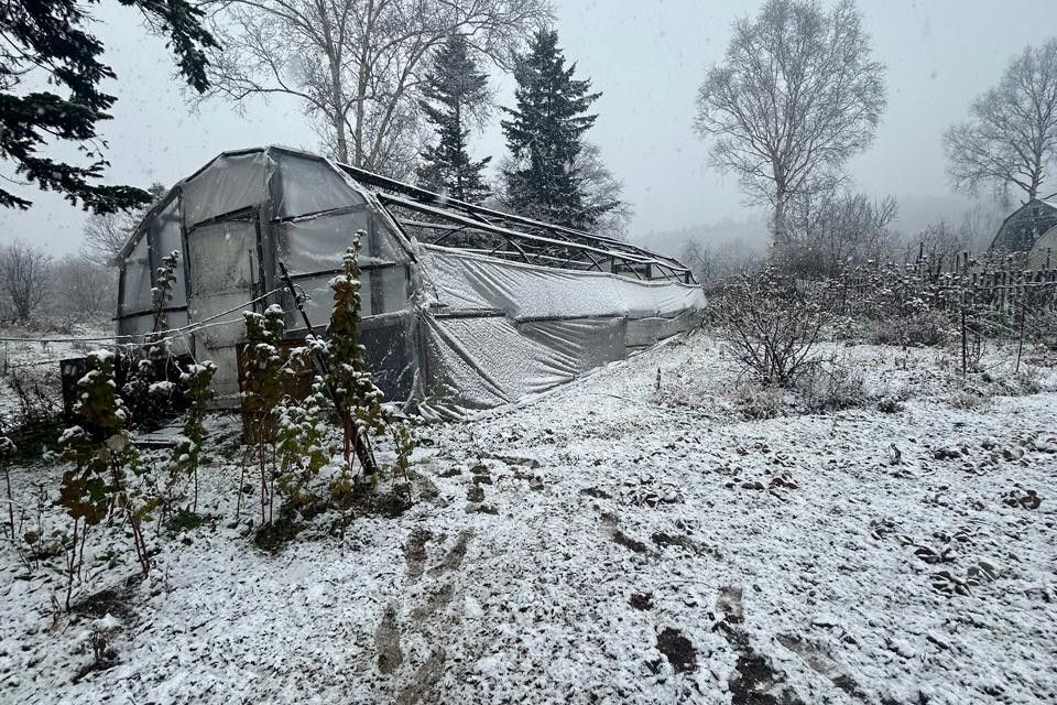 земля г Южно-Сахалинск снт Механизатор Южно-Сахалинск городской округ, 59 фото 7