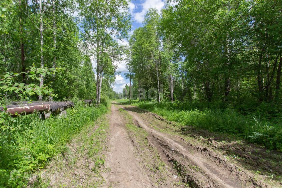 земля г Тобольск улица Центральная, 24, Тобольск городской округ фото 5