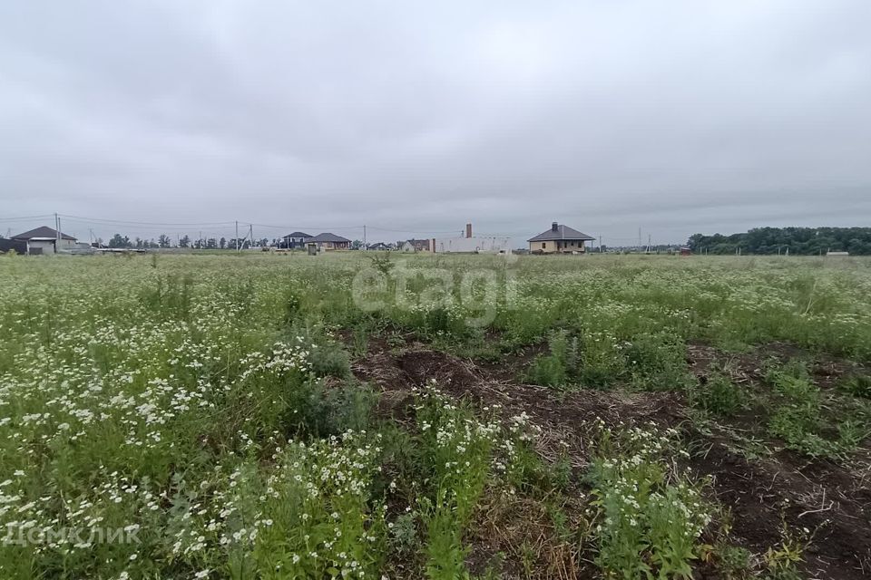 земля р-н Белгородский с Севрюково ул Щегловка-Заречная 27а фото 6