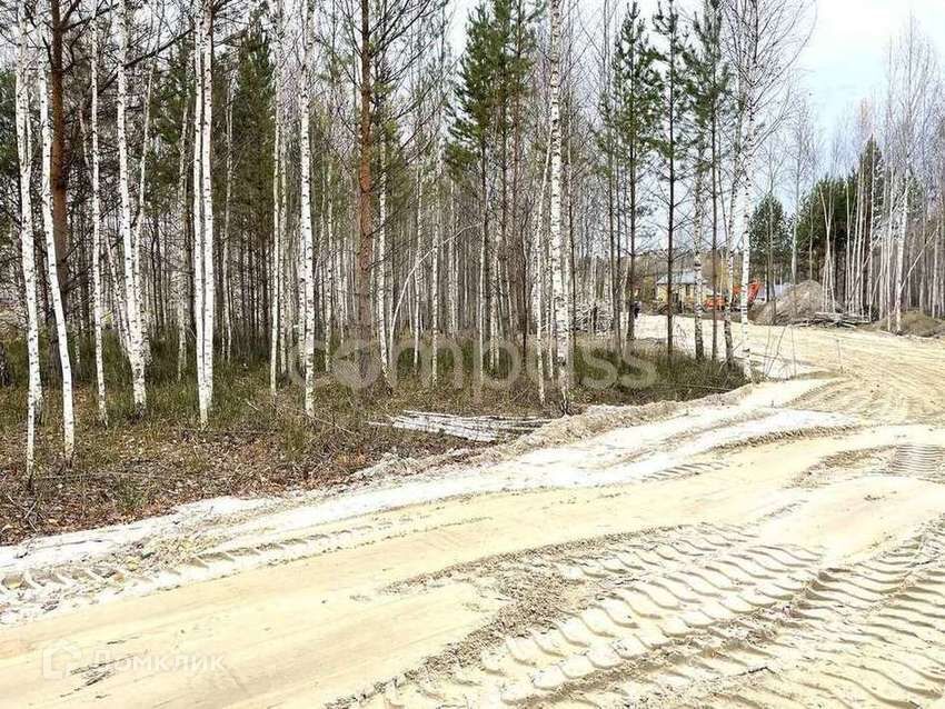 земля г Тюмень Тюмень городской округ, СНТ Березняки фото 6