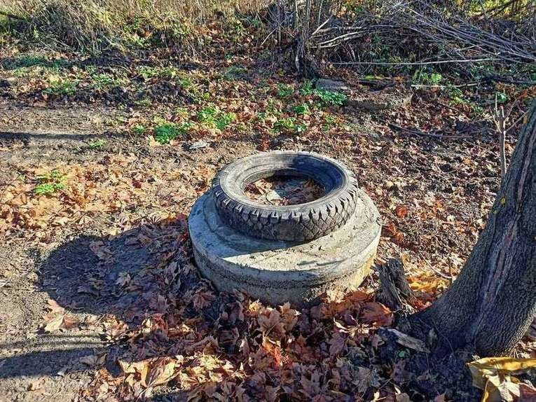 дом р-н Кораблинский д Залесно-Чулково ул Садовая фото 5