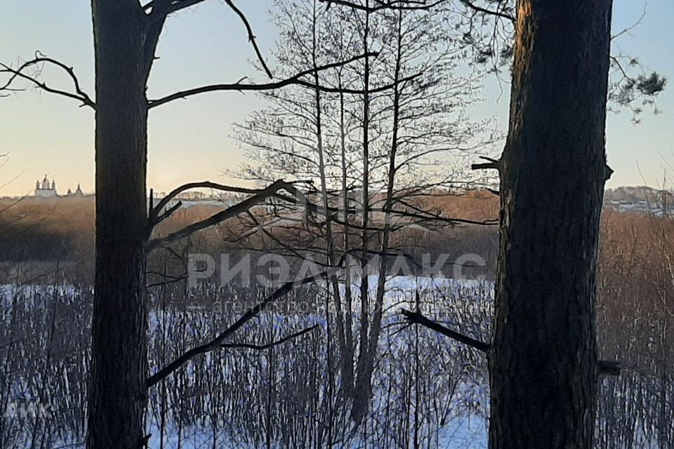 земля г Брянск р-н Фокинский ул Западная Брянск городской округ фото 9