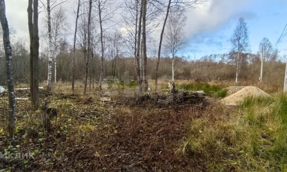 земля г Псков городской округ Псков, Запсковье фото 5