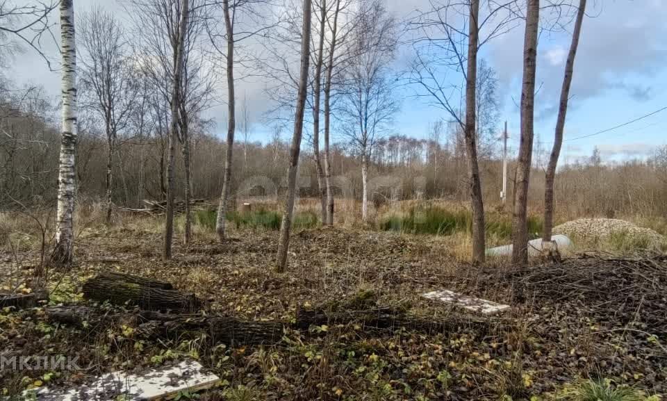 земля г Псков городской округ Псков, Запсковье фото 8