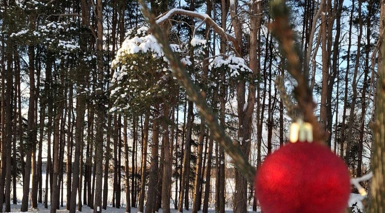 дом городской округ Можайский д Горетово ул Прибрежная 2 фото 13