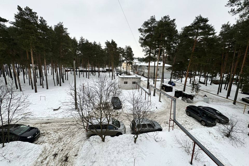 квартира р-н Балахнинский рп Большое Козино ул Воинская 5 фото 4