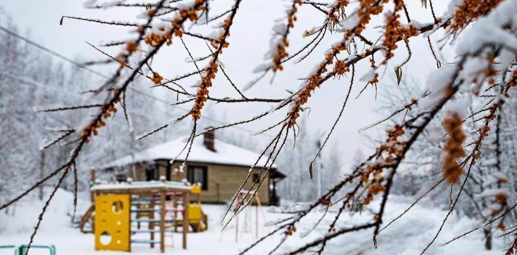 дом р-н Ленинский п Рождественский 75, Тула фото 43