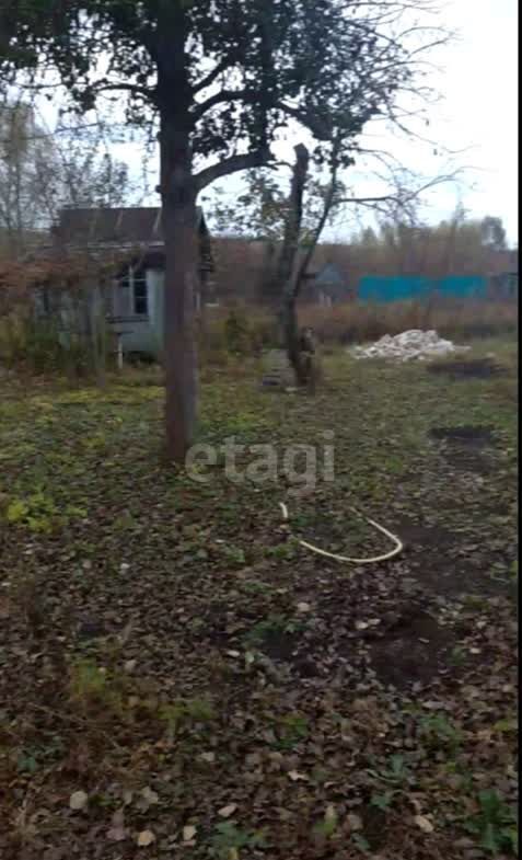 земля г Ульяновск р-н Заволжский СНТ Машзавода имени Володарского, сад № 11 фото 12