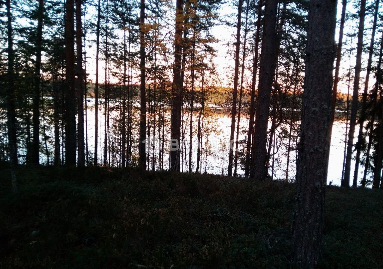 земля р-н Олонецкий д Лемозеро Коверское сельское поселение, Олонец фото 4