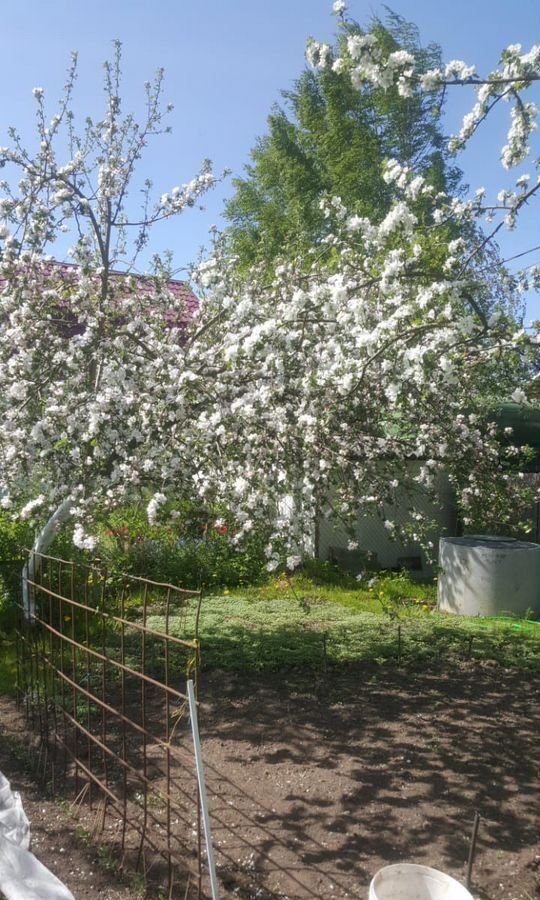 земля р-н Ломоносовский п Аннино 5 км, Ломоносовский р-н, Северная ул, садоводческое некоммерческое товарищество Колос-1, Красносельское шоссе фото 2