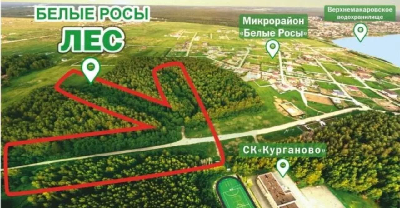 земля г Полевской с Курганово ул Еловая Екатеринбург фото 2