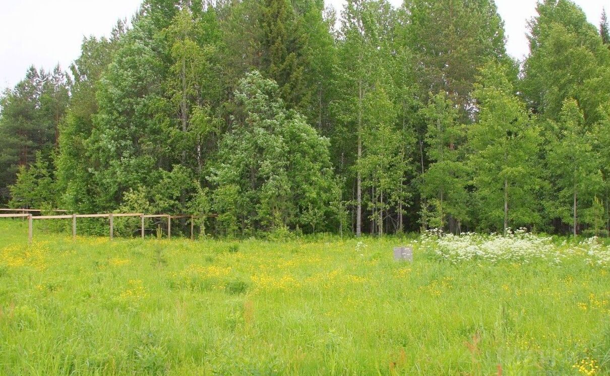 земля городской округ Ступино д Ольховка ул Черемушки 57 км, Михнево, Новокаширское шоссе фото 2