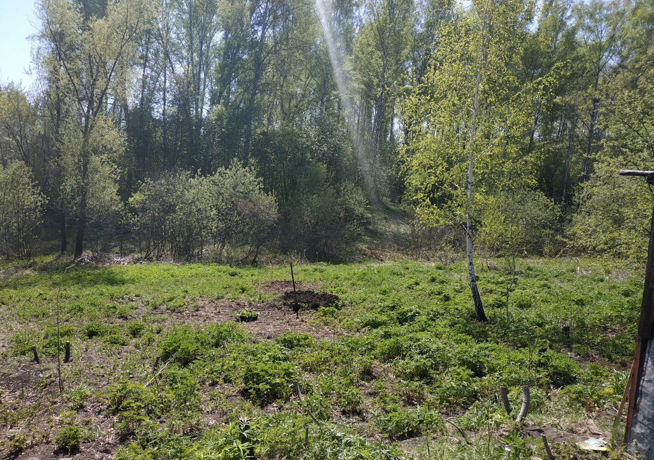 земля г Новосибирск р-н Октябрьский Золотая Нива НСТ Ветеран фото 1