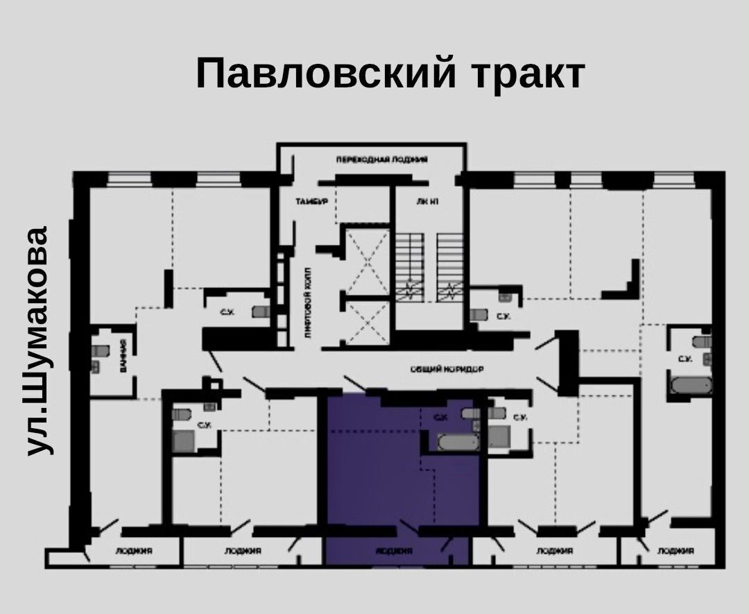 квартира г Барнаул р-н Индустриальный тракт Павловский ЖК «Павлов» з/у 251б фото 2