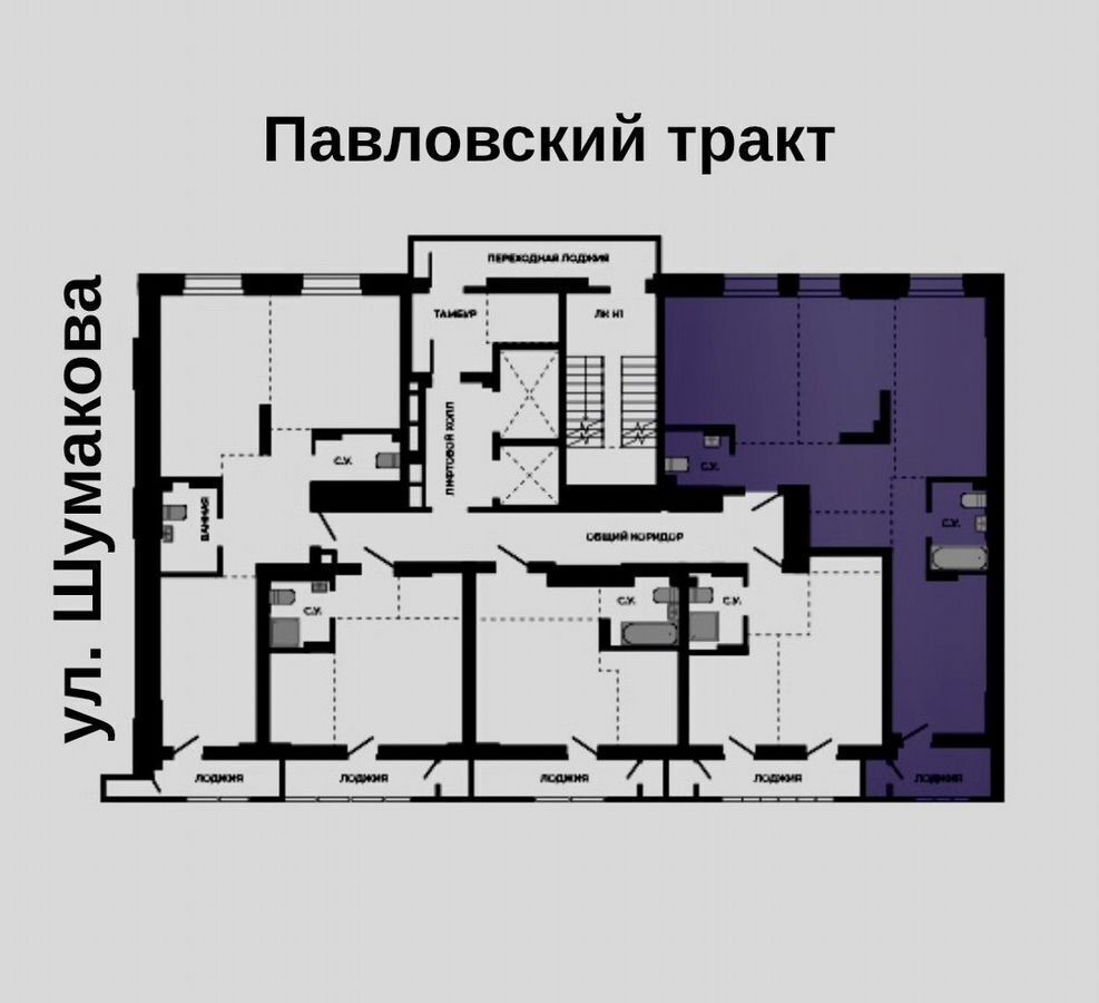 квартира г Барнаул р-н Индустриальный тракт Павловский ЖК «Павлов» з/у 251б фото 5