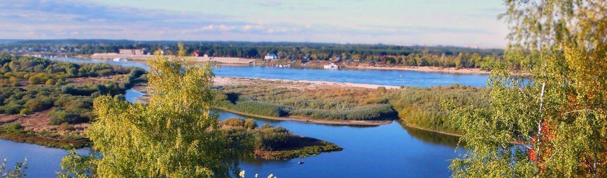 земля р-н Богородский с Дуденево ул. Дуденевское шоссе, 1А фото 3