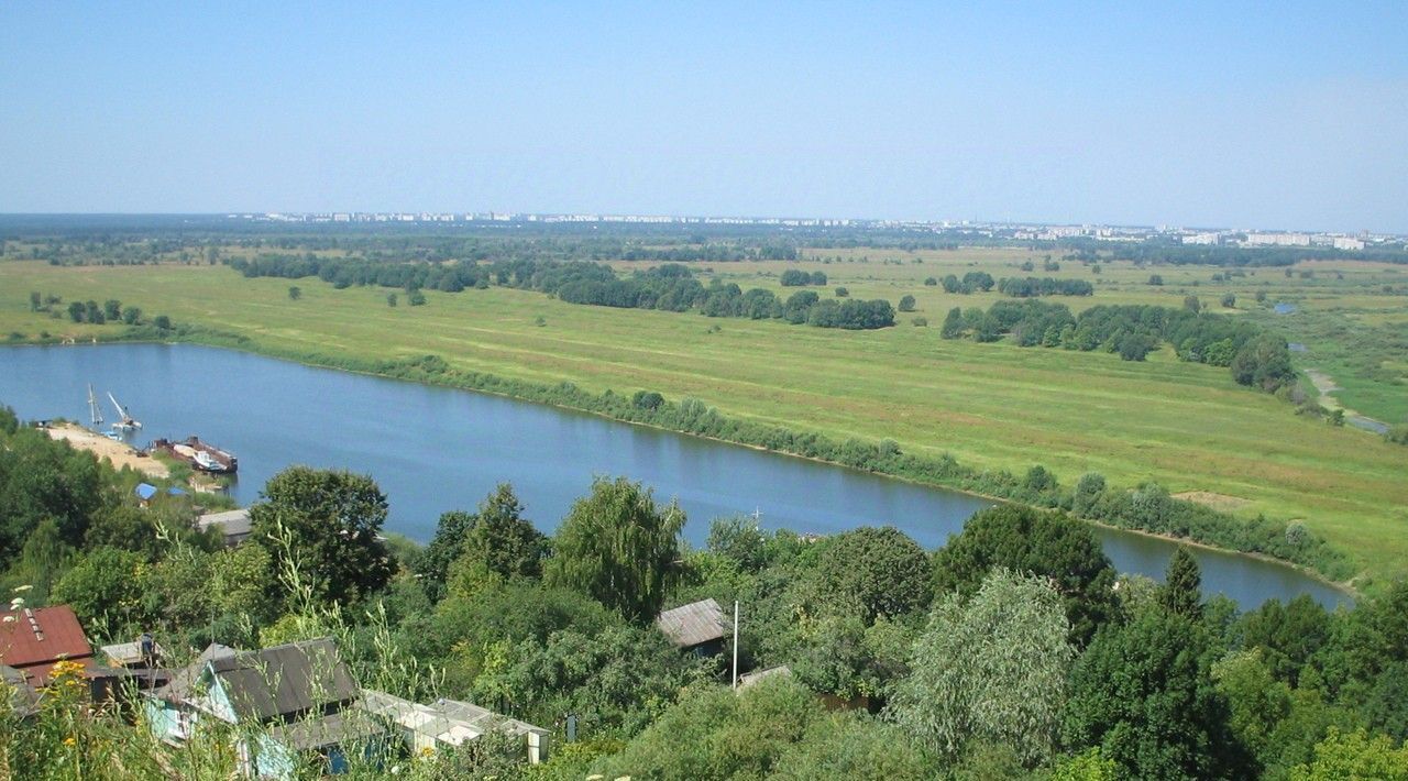 земля р-н Богородский с Дуденево ул. Дуденевское шоссе, 1А фото 4