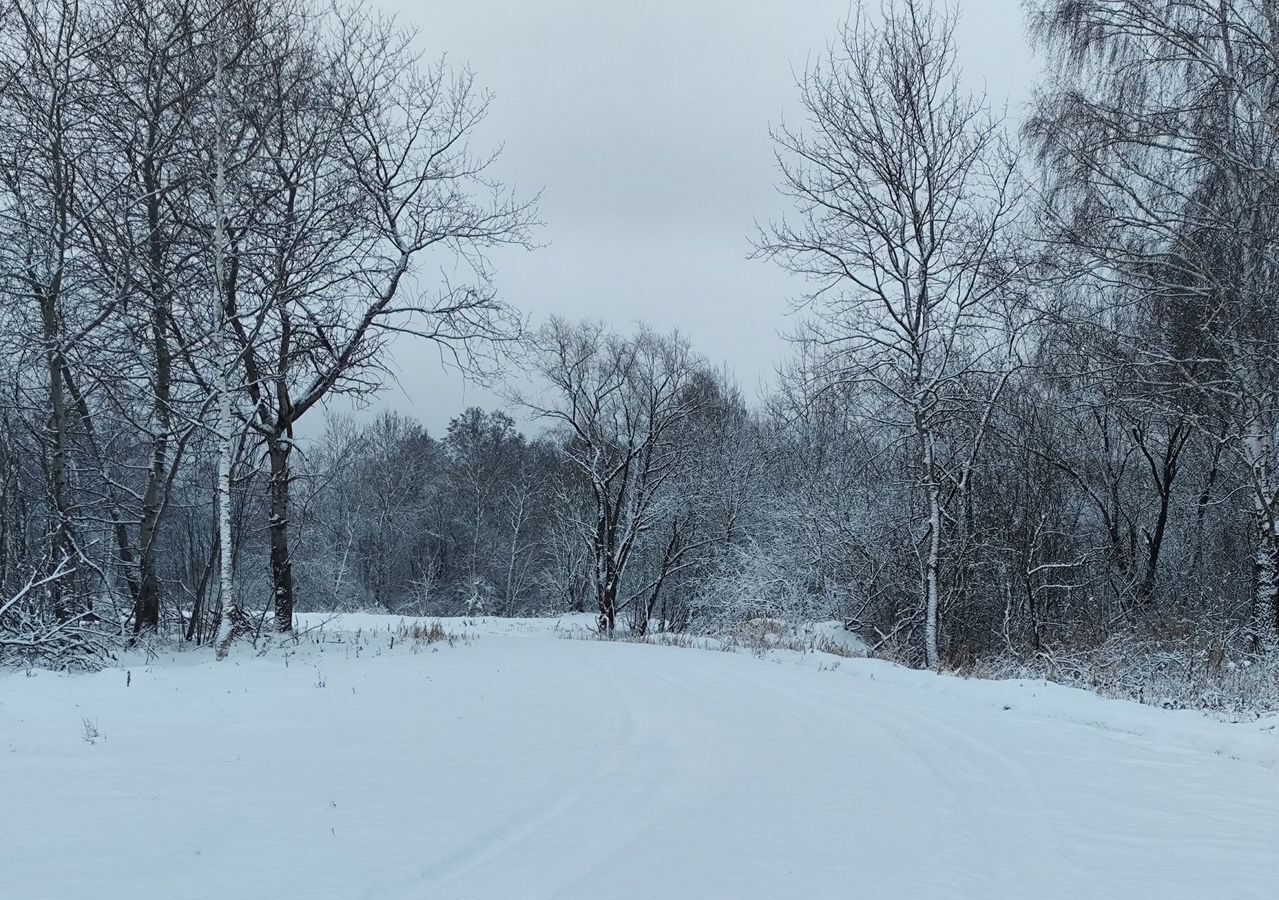 земля городской округ Орехово-Зуевский г Ликино-Дулёво коттеджный пос. Кудыкино Лайф фото 3