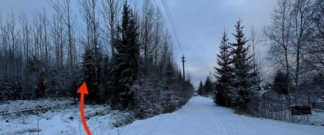 Нурминское с/пос, Нечеперть садоводческий массив, 8-я линия, 236, Тосненский район, Надежда СНТ фото