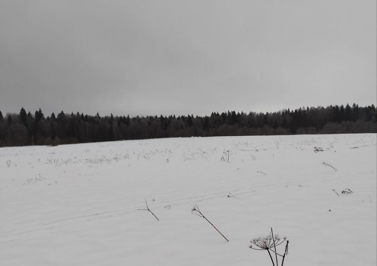 земля городской округ Рузский д Новорождествено 65 км, 2, Новопетровское, Волоколамское шоссе фото 2