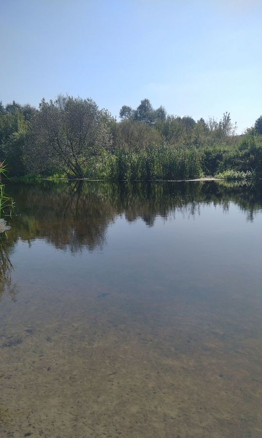 земля городской округ Раменский 45 км, дп. Тихая Заводь, Бронницы, Новорязанское шоссе фото 13