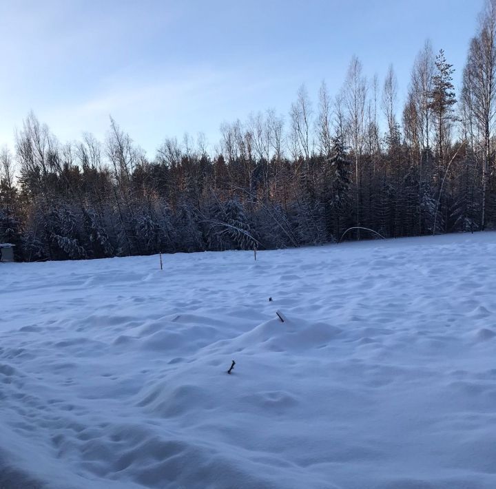 земля р-н Всеволожский д Мистолово Бугровское городское поселение, Охтинское раздолье кп, Парнас, 2А фото 2