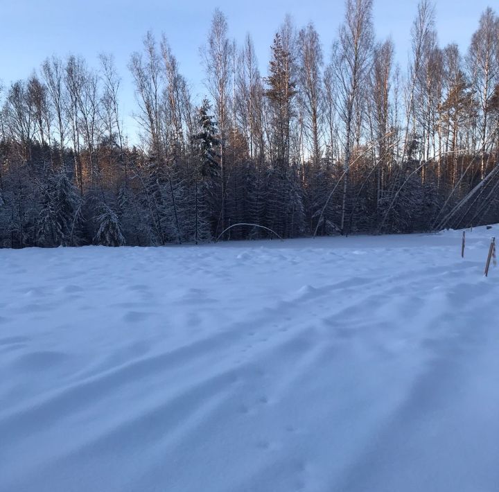 земля р-н Всеволожский д Мистолово Бугровское городское поселение, Охтинское раздолье кп, Парнас, 2А фото 1