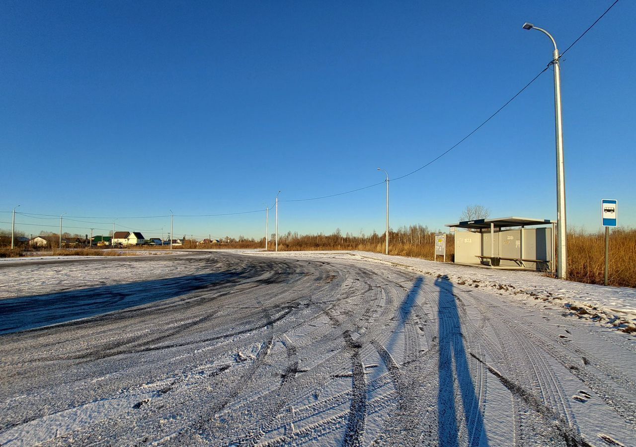 земля г Тюмень р-н Центральный снт Царево 437 фото 1