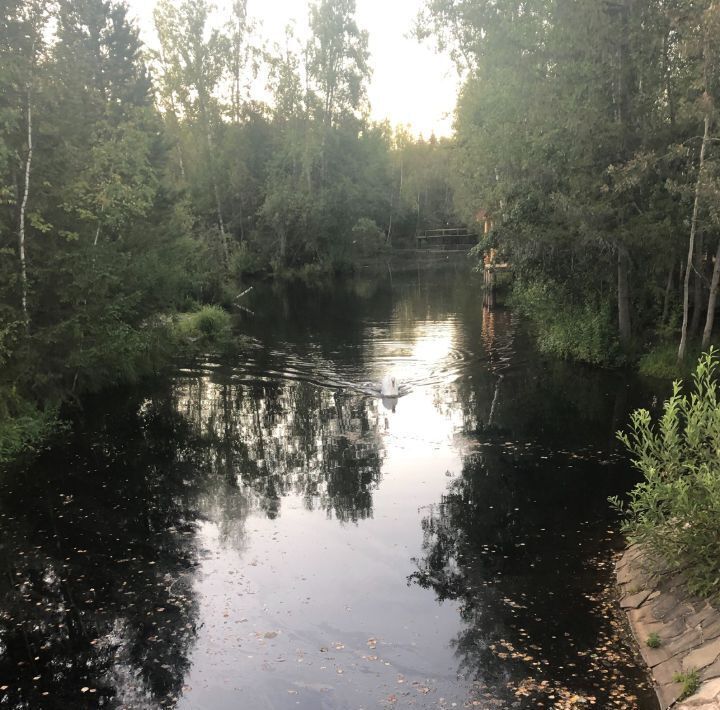 дом городской округ Солнечногорск с Алабушево р-н мкр Дедешино-4 Зеленоград — Крюково, 85 фото 7