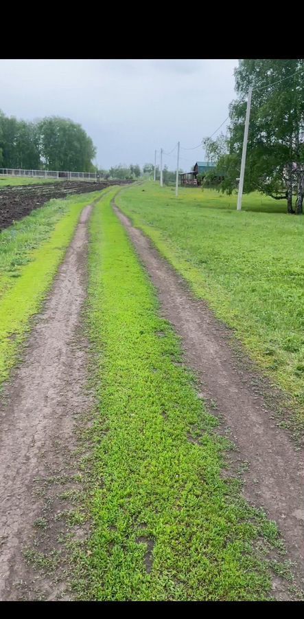 земля г Барнаул п Березовка ул Луговая р-н Ленинский фото 6