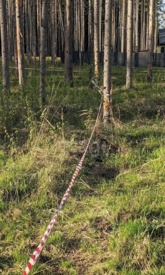 земля р-н Некрасовский рп Некрасовское сельское поселение Некрасовское, коттеджный пос. Малые Соли Парк, Земляничный пер фото 5