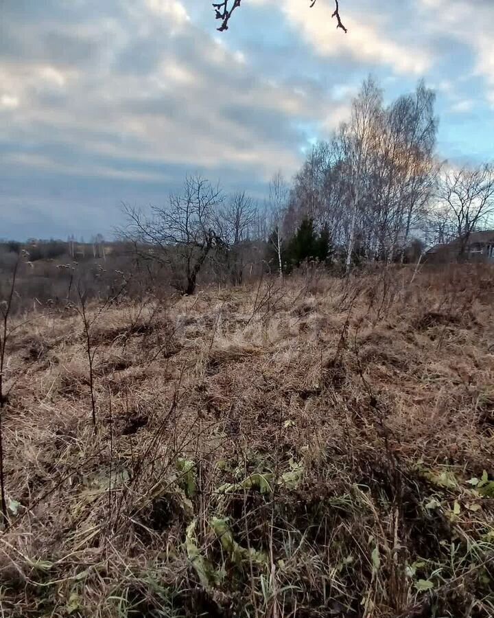 земля р-н Ярославский с Новленское Курбское сельское поселение, 25, Дубки фото 3