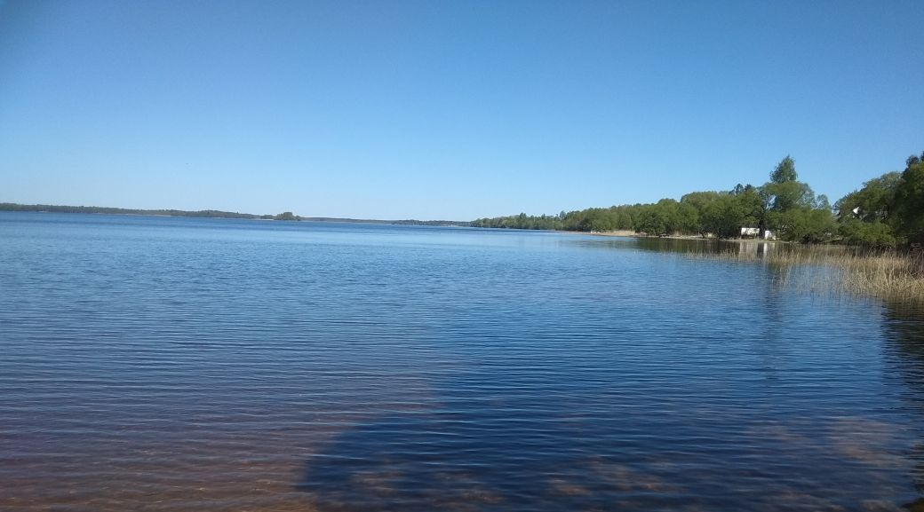 дом р-н Лужский д Надевицы Скребловское с/пос фото 12