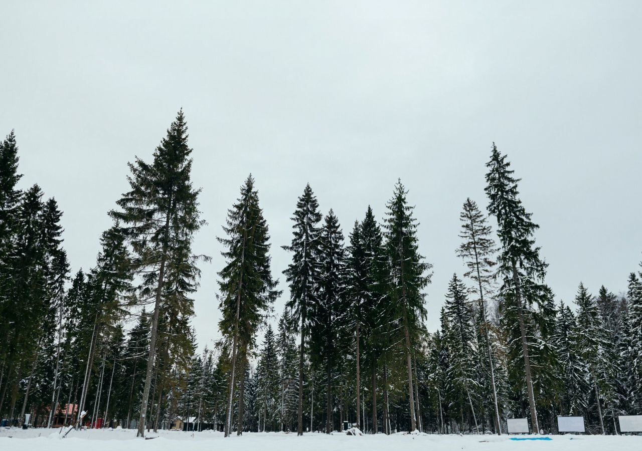 земля городской округ Солнечногорск д Климово 50 км, 27, Солнечногорск, Ленинградское шоссе фото 24