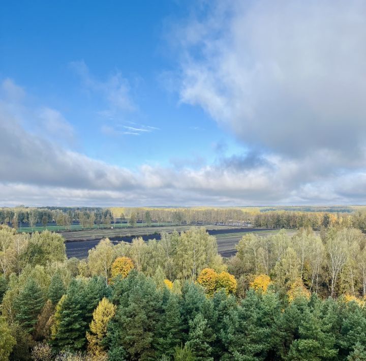 квартира р-н Орловский д Жилина ул Естина 11 фото 26