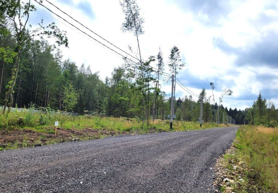 земля городской округ Наро-Фоминский коттеджный посёлок Лесная Аллея, 60 фото 4