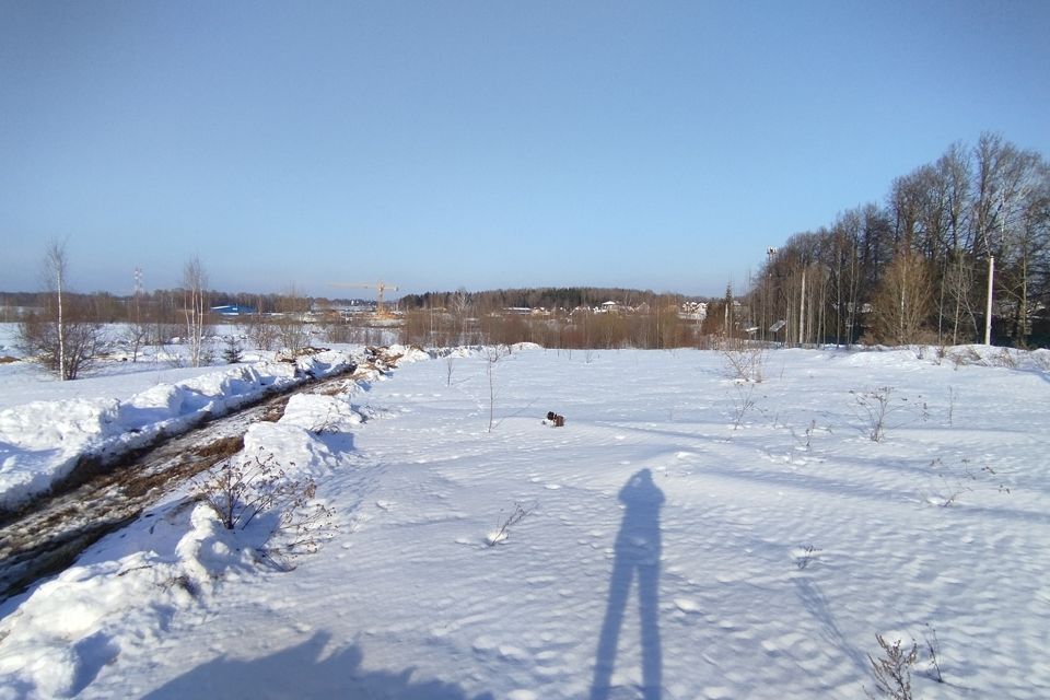 земля городской округ Дмитровский д. Морозово фото 3