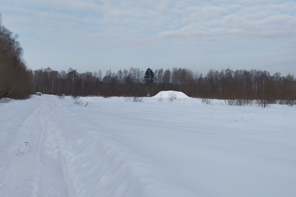 земля городской округ Дмитровский с. Борисово фото 2