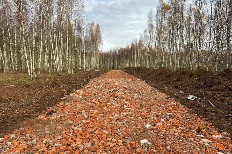 земля городской округ Дмитровский д. Сбоево фото 3